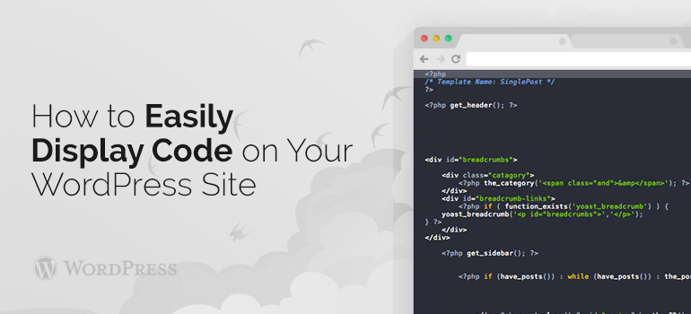 How to Easily Display Code on Your WordPress Site